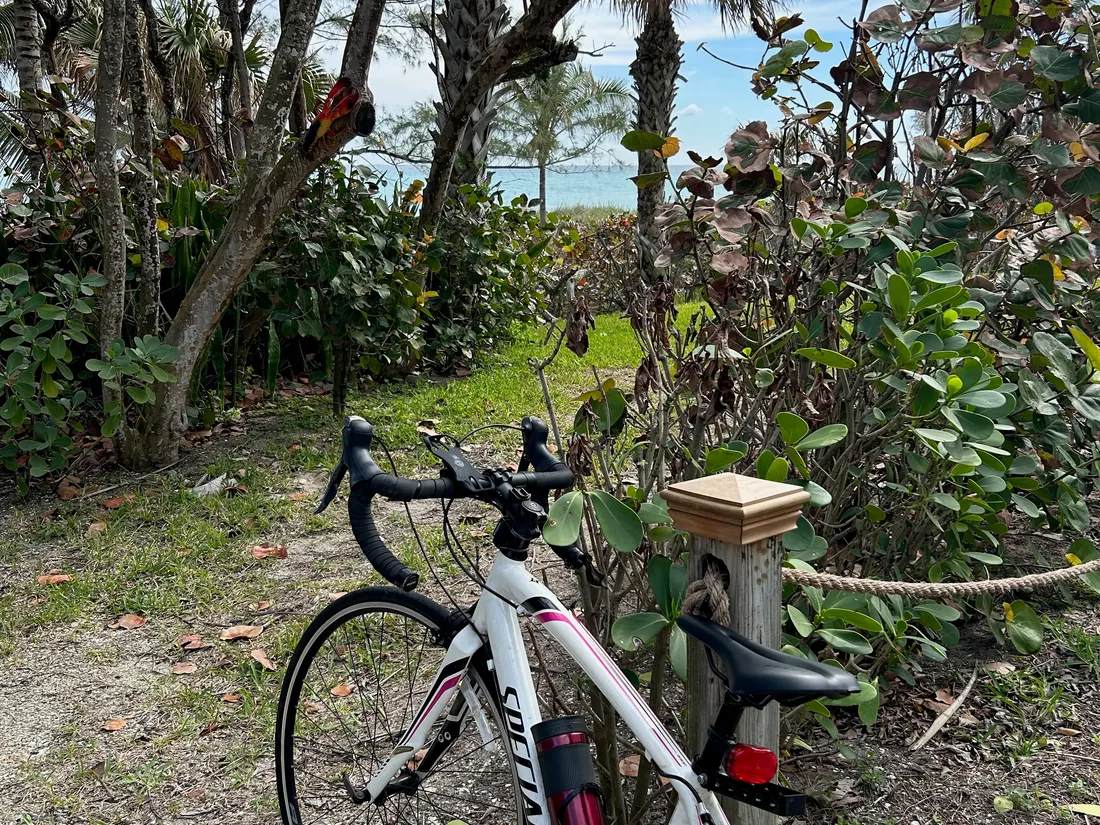 Bicicleta davant del mar a la posta de sol
